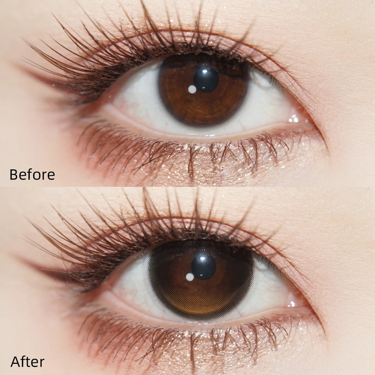 Tinacon Glossy Glow Lenses — Golden Hour Brown (10pk)