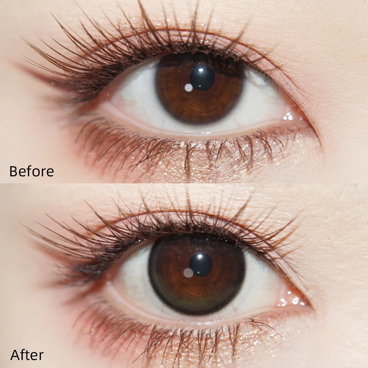 Tinacon New Script Gray —Galaxy Spark Contacts (10pk)