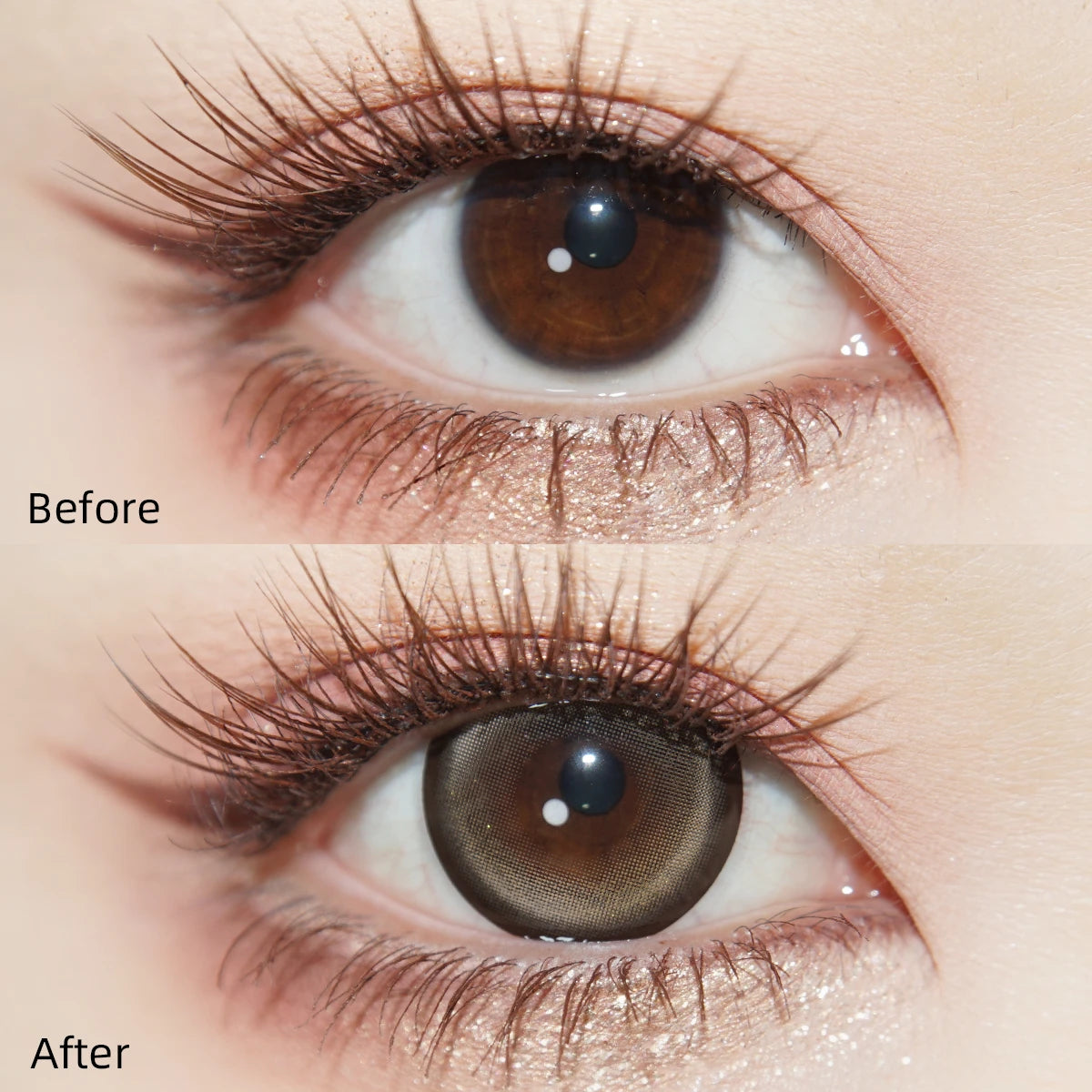 Tinacon Coquette Dream Lenses — Fudge Brown (2pk)