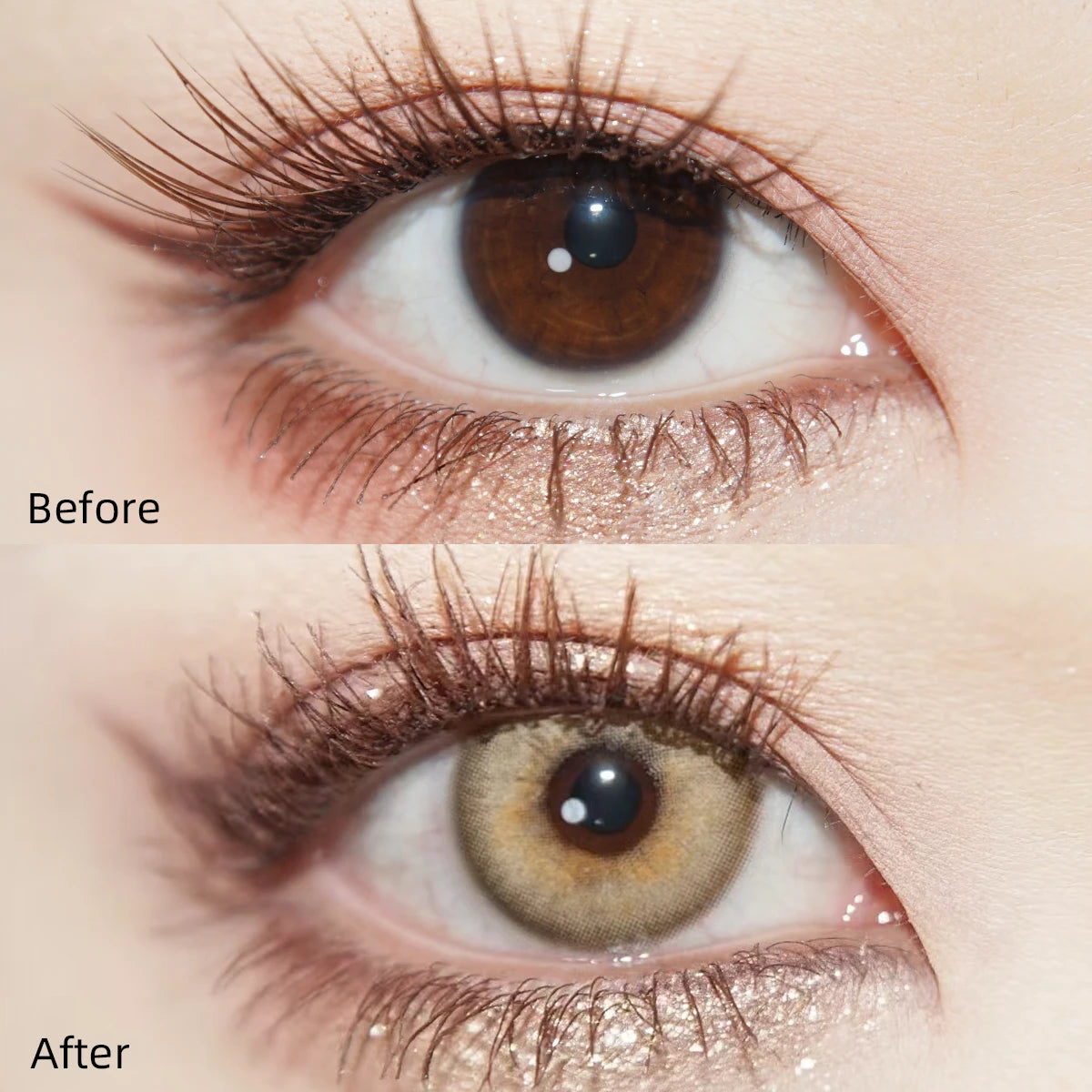 Tinacon Piercing "Cat-Eye" Amber — 2 AM Brown (10pk)